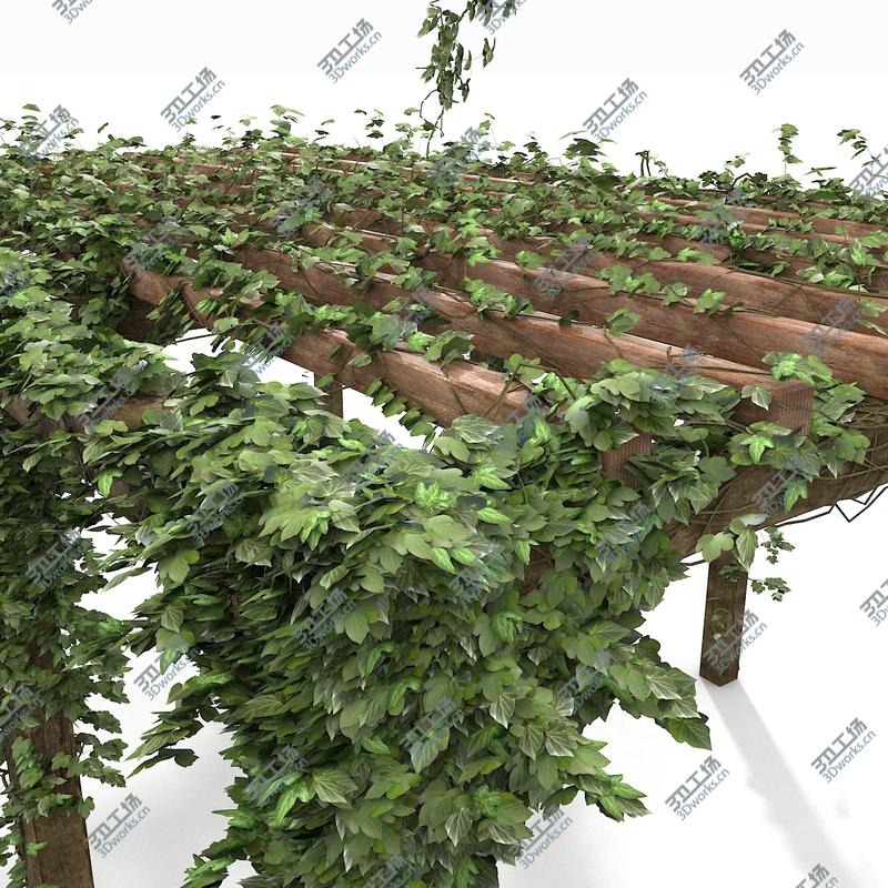 images/goods_img/2021040232/Wooden Pergola With Ivy Plant/5.jpg